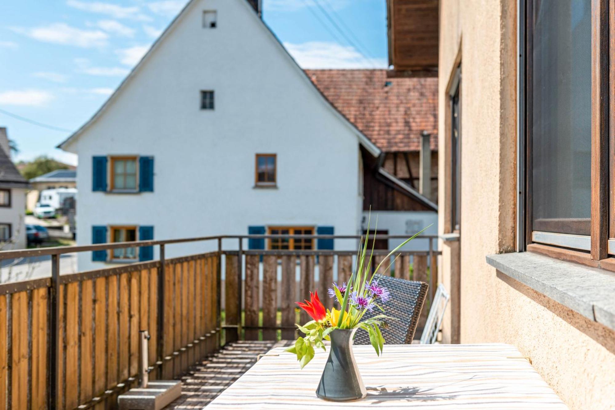 Vronis Ferienwohnungen Muhlingen Extérieur photo
